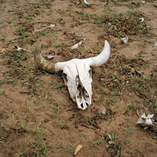 Millennium Images