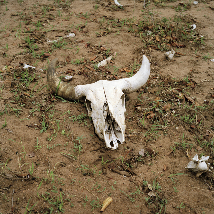 Millennium Images