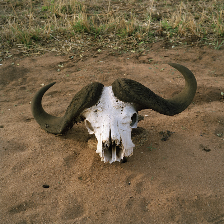 Millennium Images