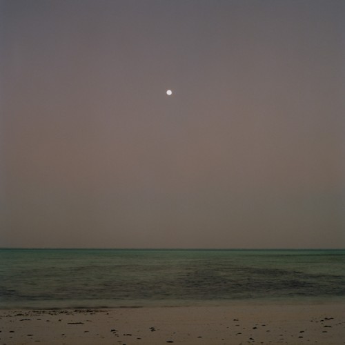 Millennium Images