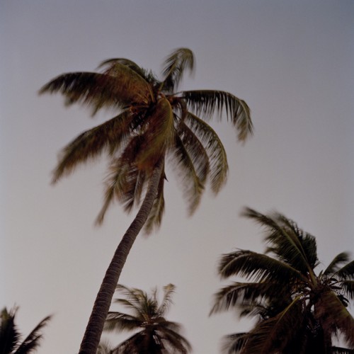 Millennium Images
