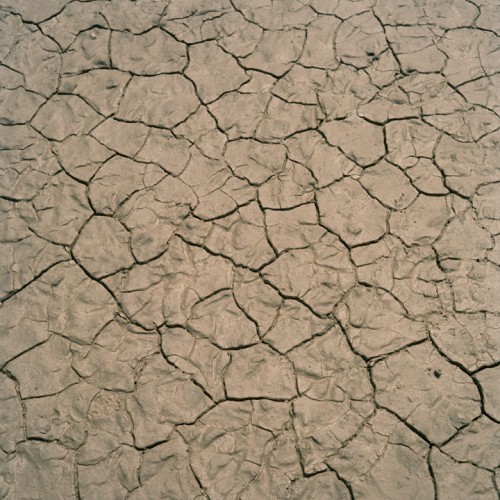 Millennium Images