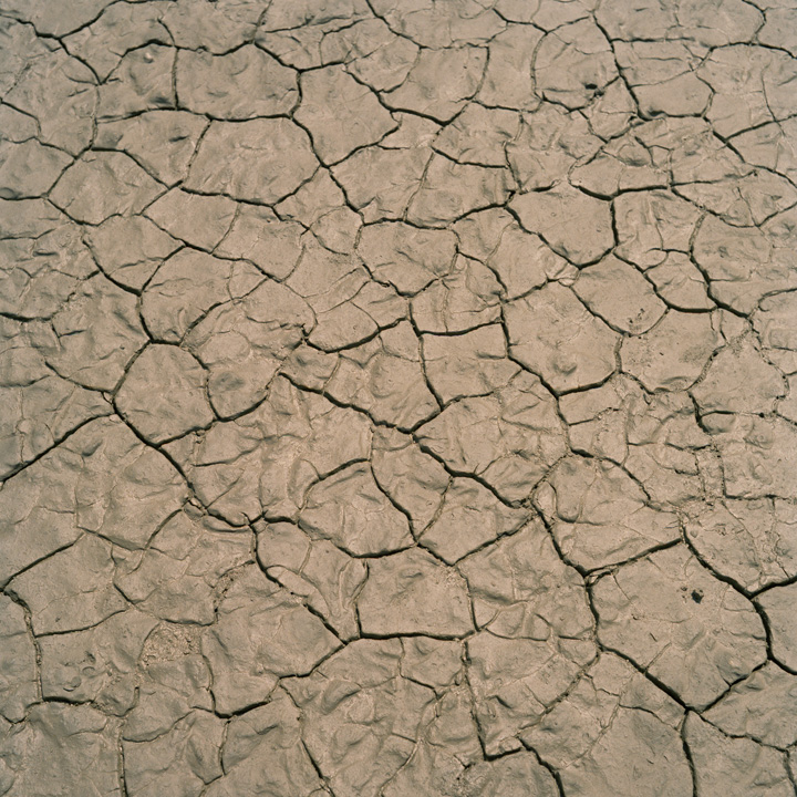 Millennium Images