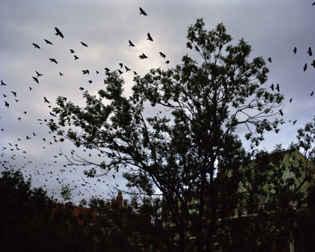Millennium Images