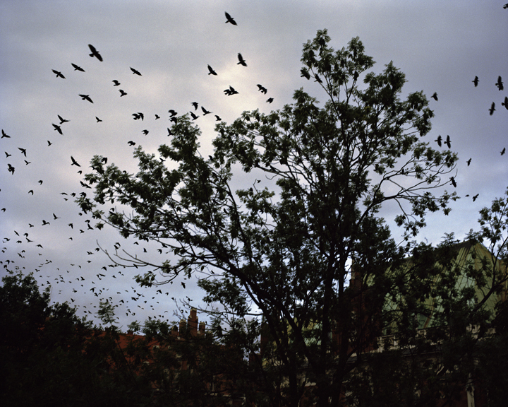 Millennium Images