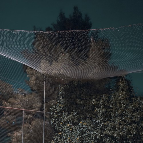 Search through the Night