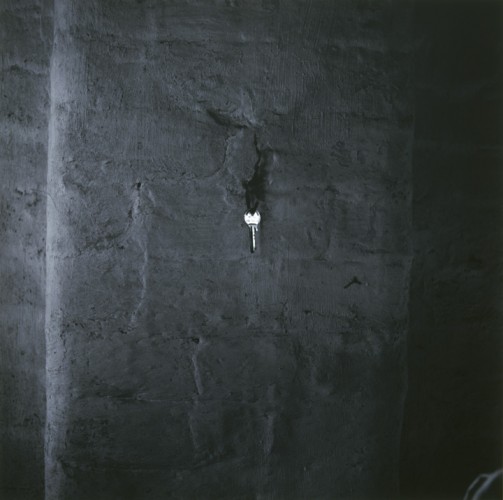 Millennium Images