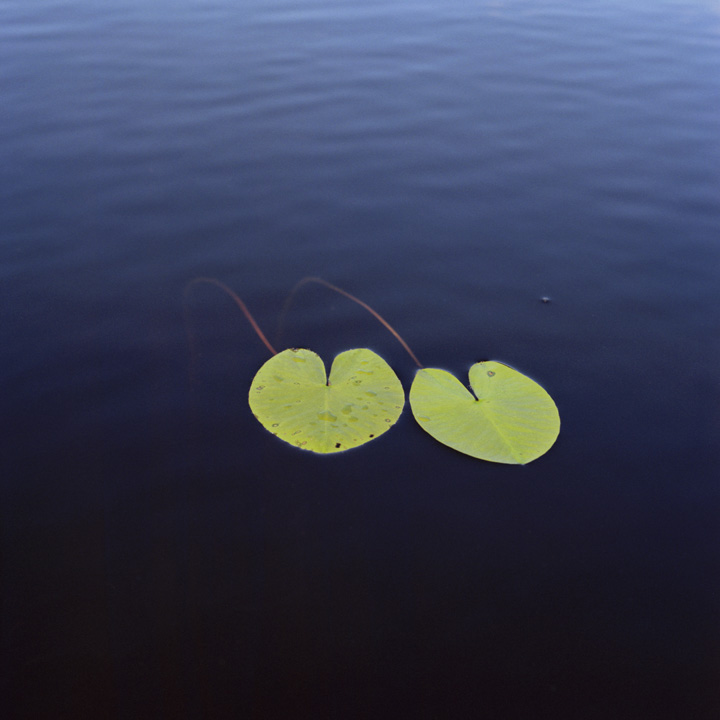Millennium Images