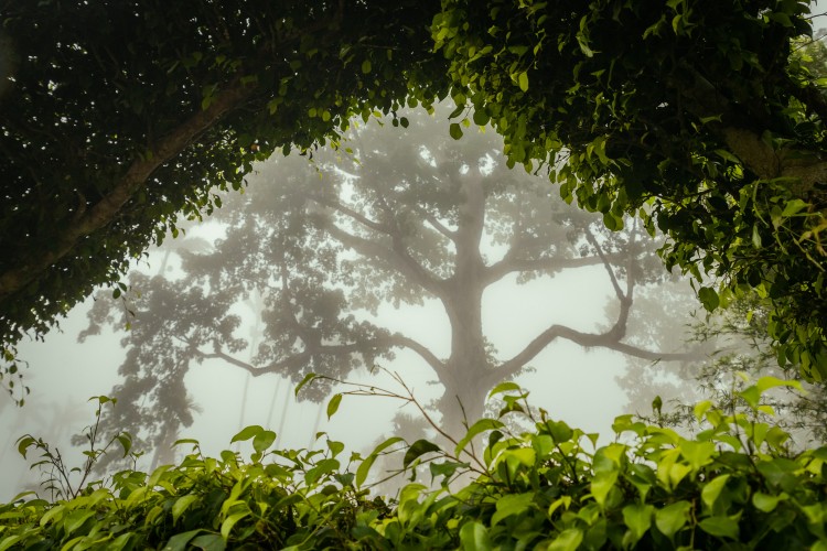 Milim Community Highly Commended