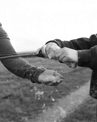 The British Hollywood