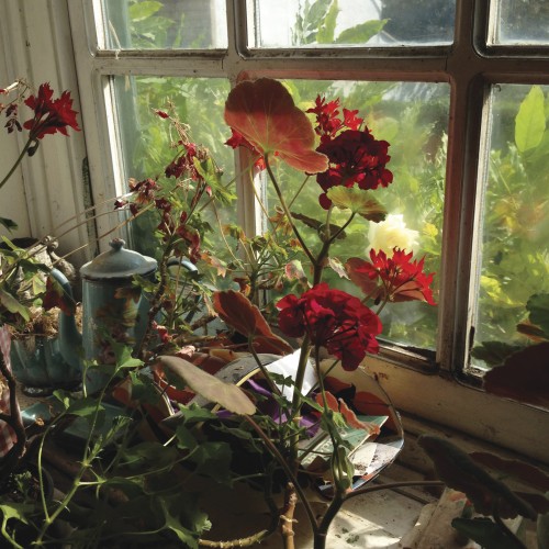 Do Not Disturb by Katya de Grunwald