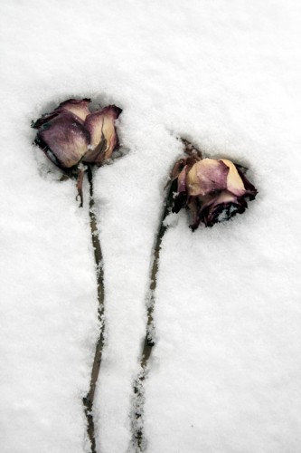 Millennium Images