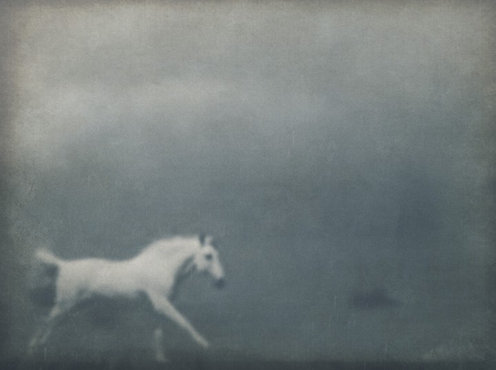 Millennium Images