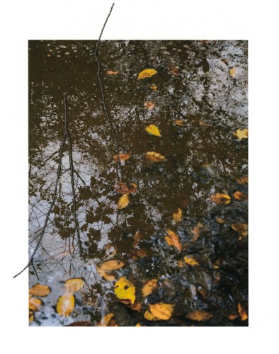 Notes on Water