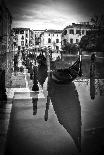 Millennium Images
