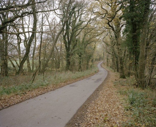 Millennium Images