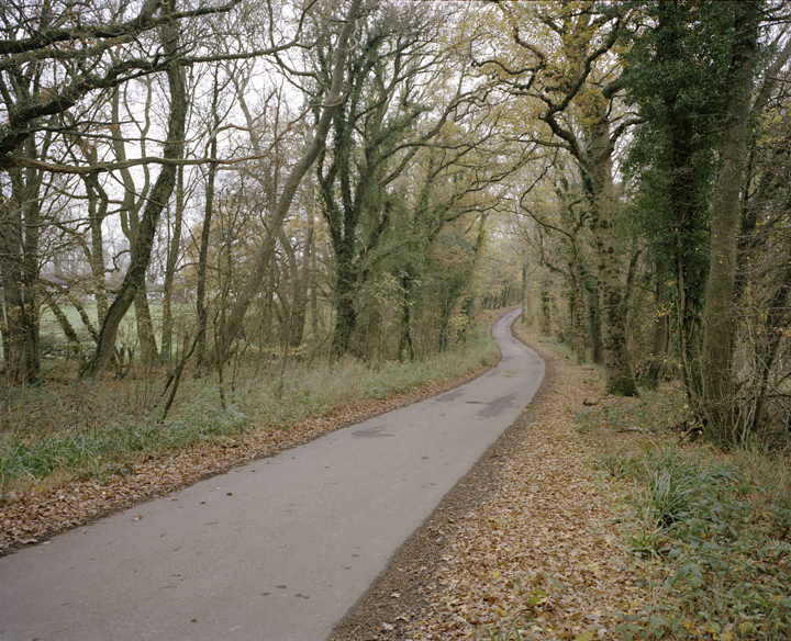 Millennium Images