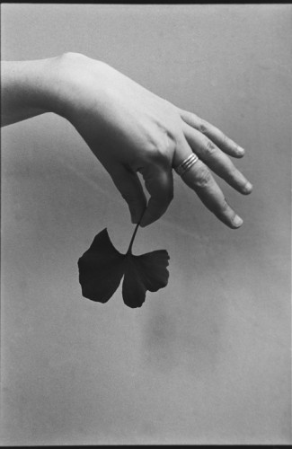 Millennium Images