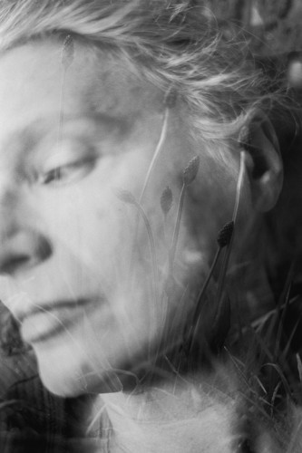 Millennium Images