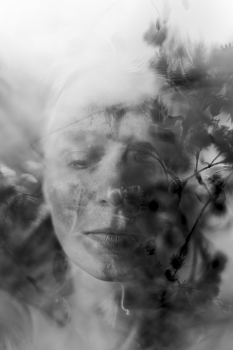 Millennium Images