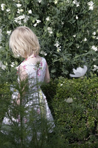 Millennium Images