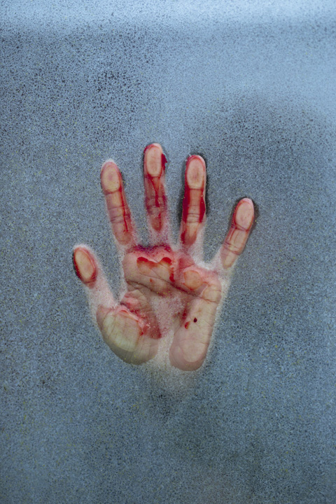 Millennium Images